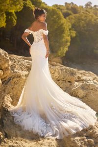Fit-&-Flare Brautkleid mit langer Soft-Tüll-Schleppe, Rückenansicht